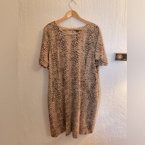 LANDS’ END Dress Size 26